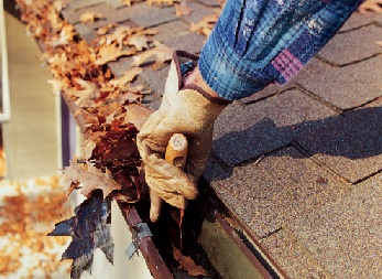 Gutter Cleaning