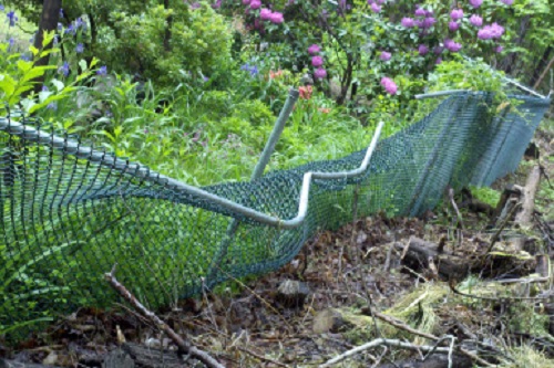 Chain link fence